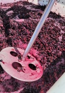 Winemaking punchdowns of fermenting grapes
